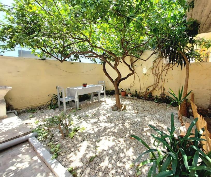 S For Studio - Detached, Close To City Center ハニア エクステリア 写真